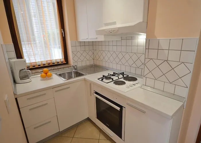 Bernardo * 로비니